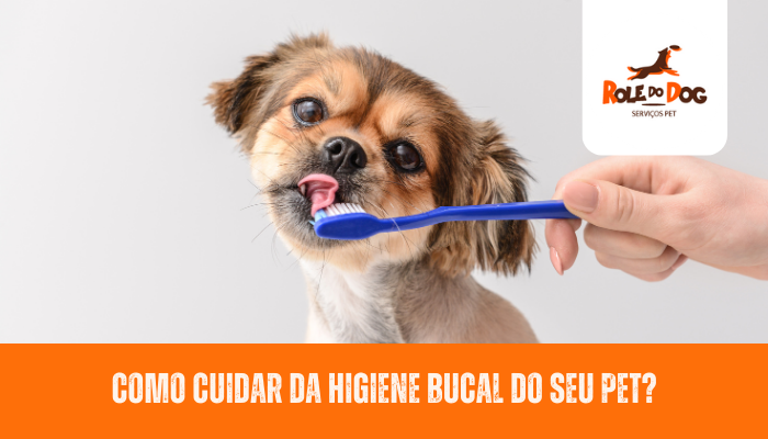 Como Cuidar da Higiene Bucal do seu Pet?