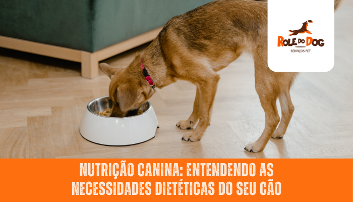 Nutrição Canina: Entendendo as Necessidades Dietéticas do seu Cão