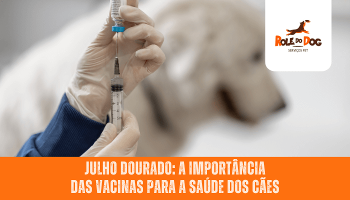 Julho Dourado: A Importância das Vacinas para a Saúde dos Cães