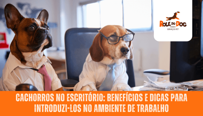 Cachorros no Escritório: Benefícios e Dicas para Introduzí-los no Ambiente de Trabalho