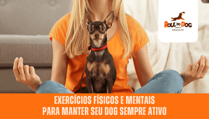 Cachorros no Escritório: Benefícios e Dicas para Introduzí-los no Ambiente de Trabalho – Copy