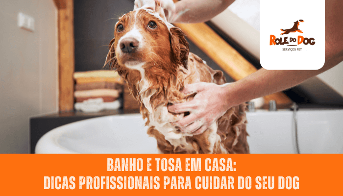 Banho e Tosa em Casa: Dicas Profissionais para Cuidar do seu Dog