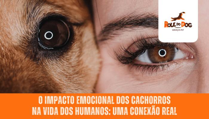 O Impacto Emocional dos Cachorros na Vida dos Humanos: Uma Conexão Real