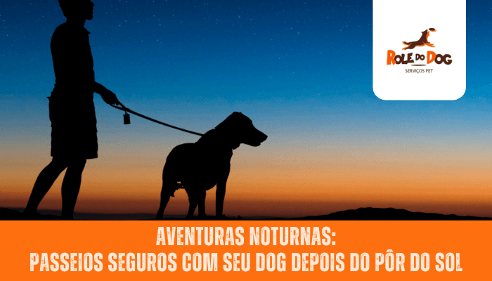 Aventuras Noturnas: Passeios Seguros com seu Dog Depois do Pôr do Sol