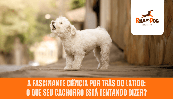 A Fascinante Ciência por Trás do Latido: O que Seu Cachorro Está Tentando Dizer?